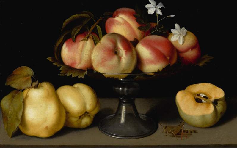 Coppa di vetro con pesche, mele cotogne, fiori di gelsomino e una cavalletta, 1602 circa, olio su tavola, cm 30x35. Collezione privata